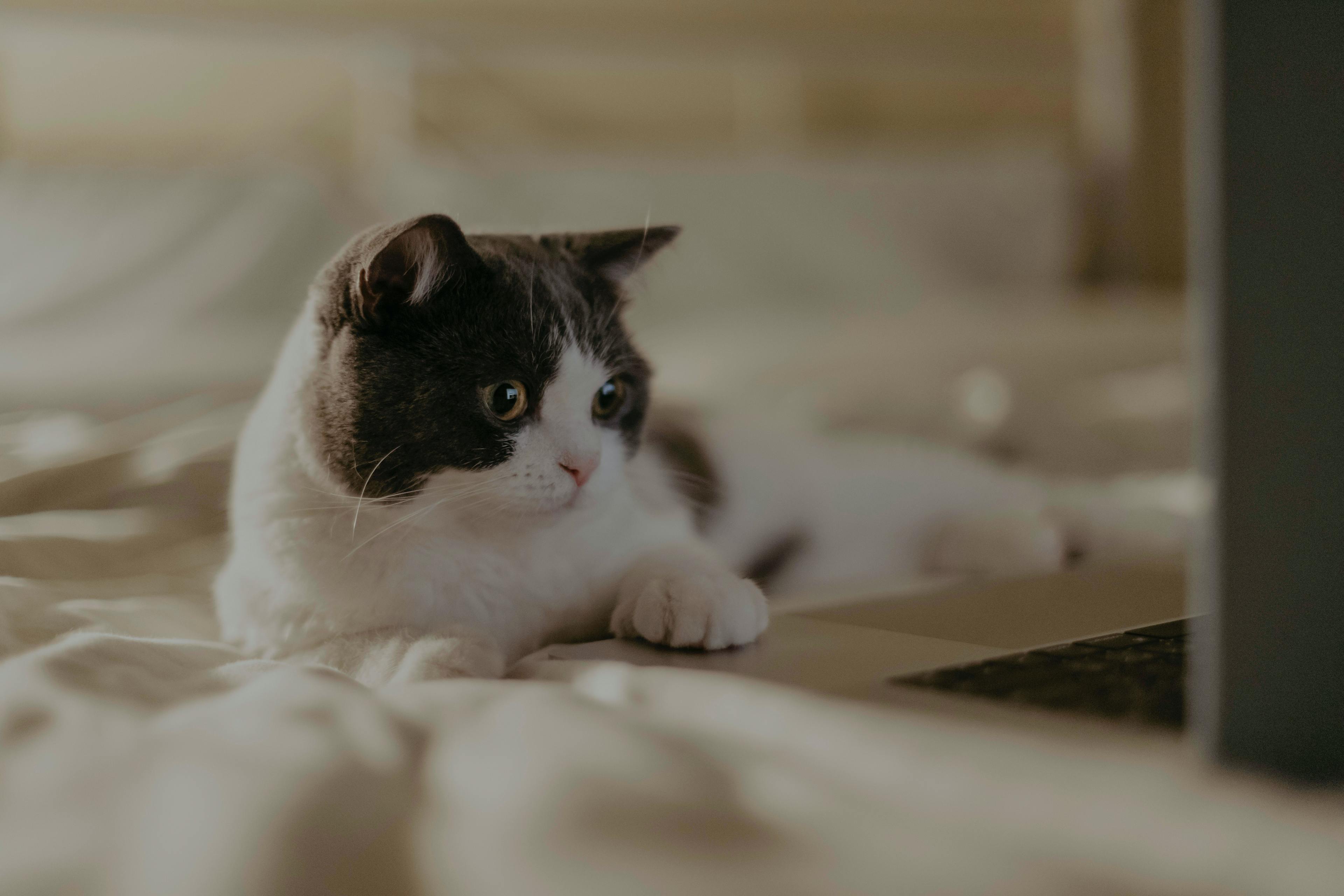 第一部分第13题*